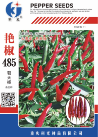 科光种苗“艳椒485”辣椒、“秋实1号”甘蓝分别入选2025年农业主导品种、农作物优良品种推广目录